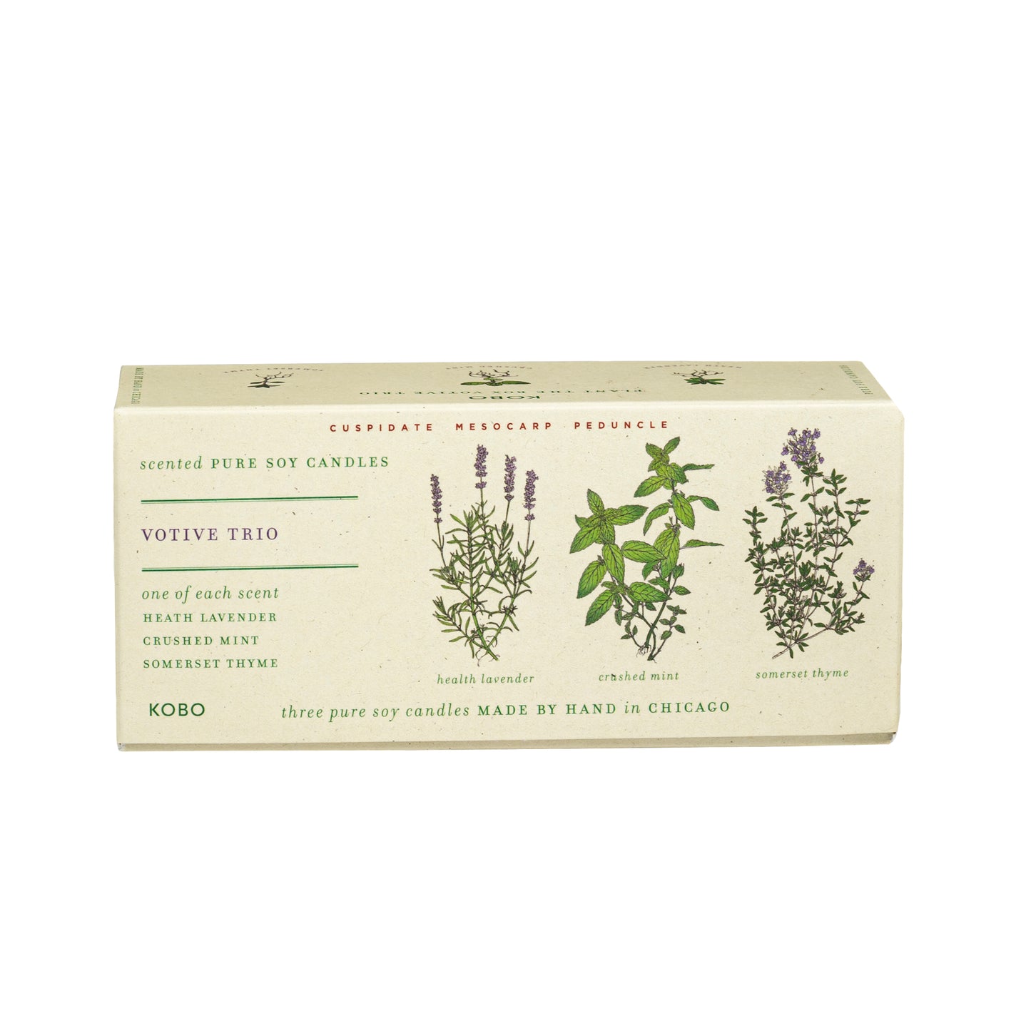 Herb Garden Plant the Box Votive Candle Trio