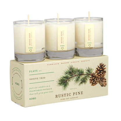 Rustic Pine Plant the Box Votive Candle Trio
