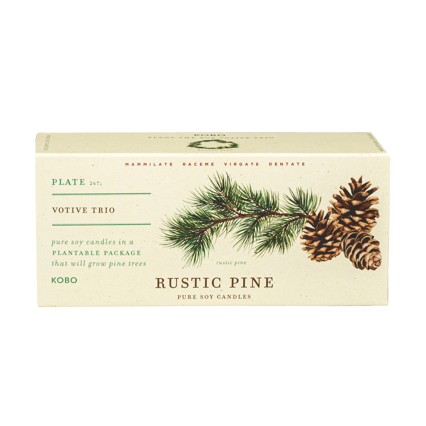 Rustic Pine Plant the Box Votive Trio 3 x 2.3oz Candles