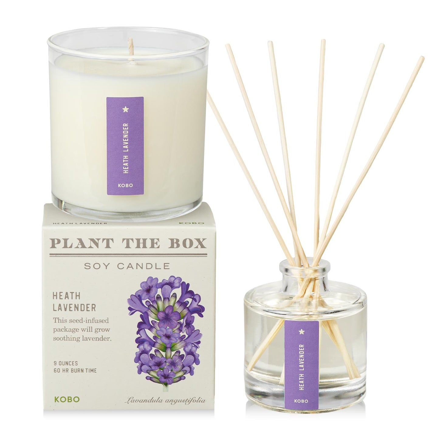 Primary Image of Heath Lavender Plant the Box Duo, diffuser and candle with purple label