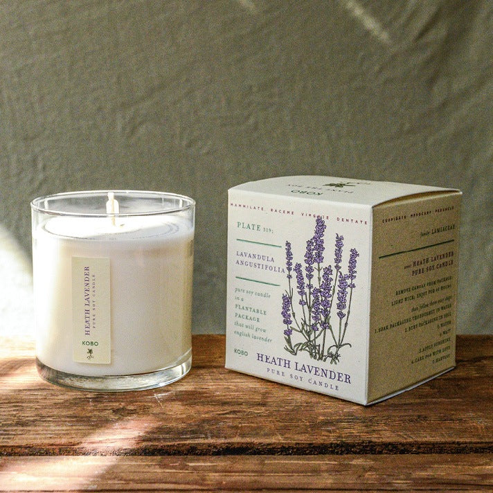 KOBO Heath Lavender Plant The Box Candle
