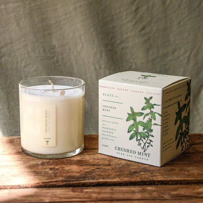 KOBO Crushed Mint Plant The Box Candle
