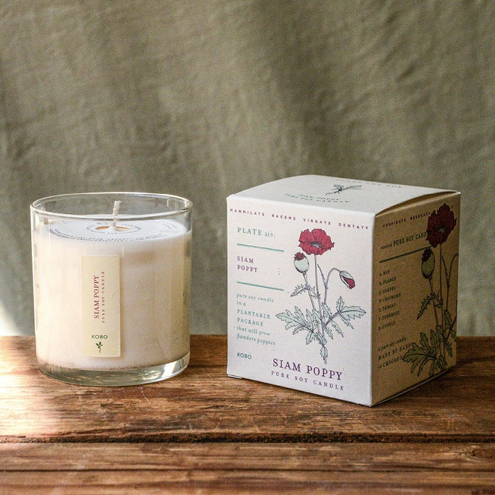 KOBO Siam Poppy Plant The Box Candle