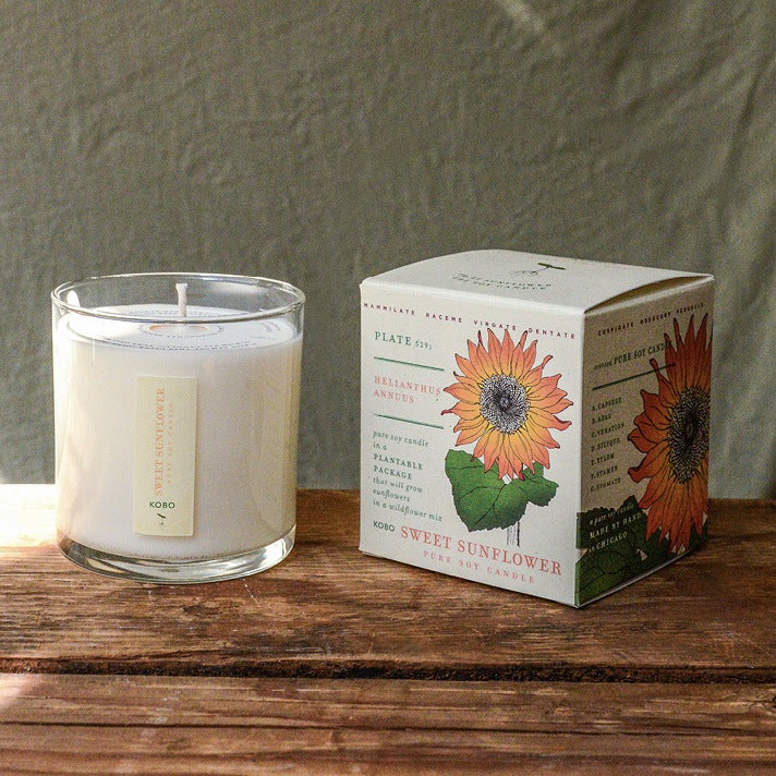 KOBO Sweet Sunflower Plant The Box Candle