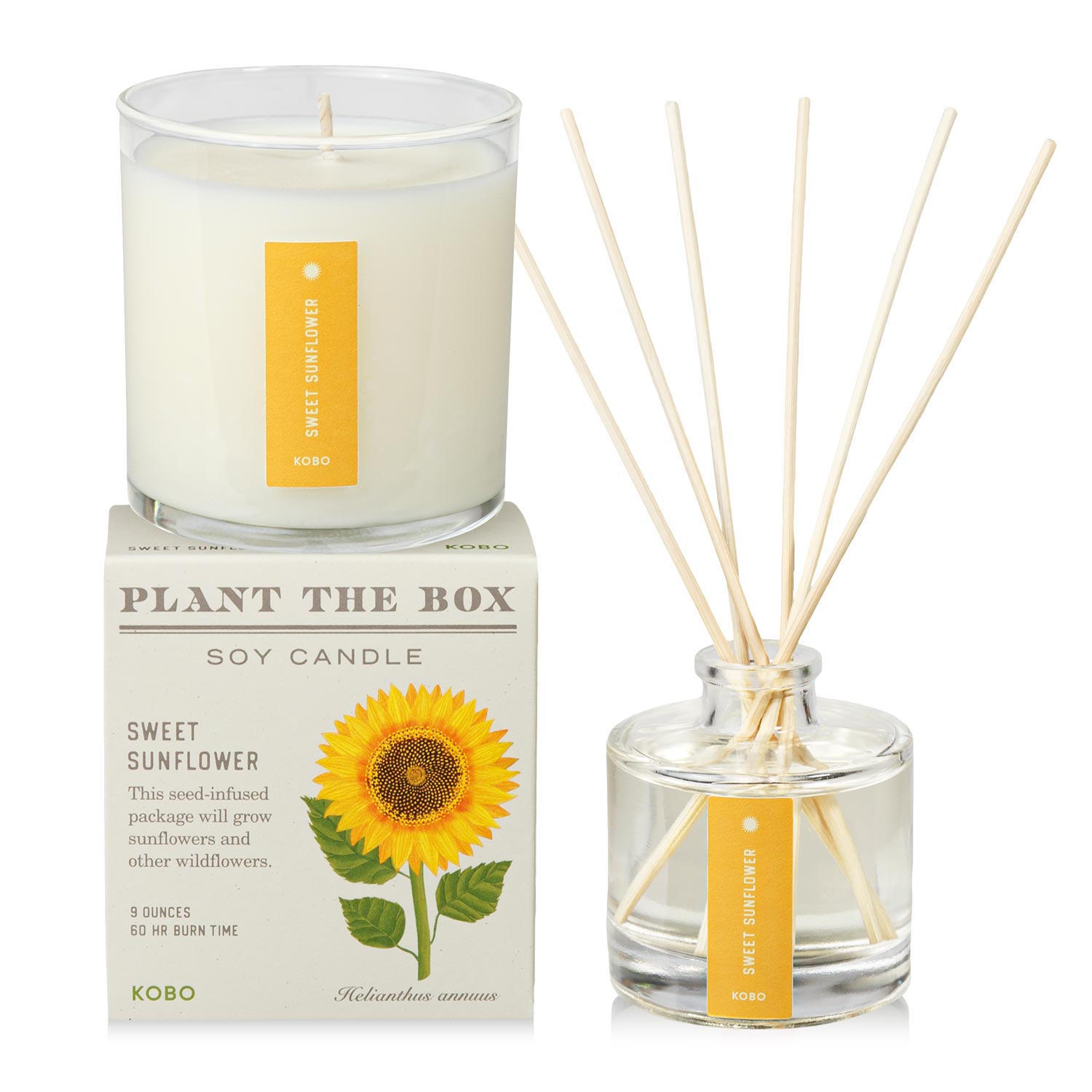 Primary Image of Sweet Sunflower Plant the Box Duo, diffuser and candle with yellow label