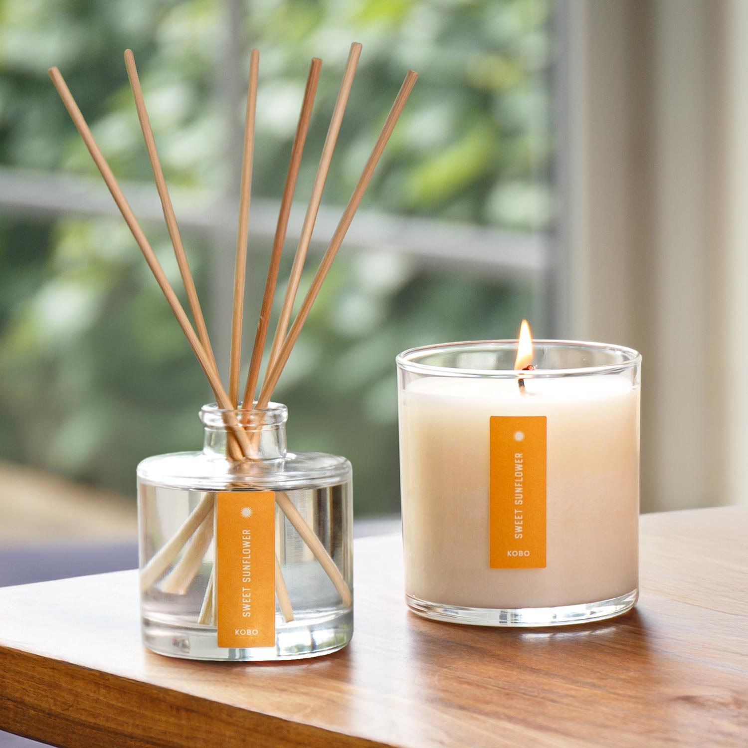 Alternate Image of Sweet Sunflower Plant the Box Duo, diffuser and candle with yellow label