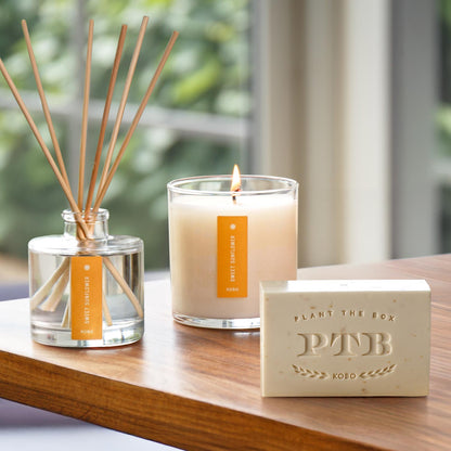 Alternate Image of Sweet Sunflower Plant the Box Trio, bar soap diffuser and candle with yellow label