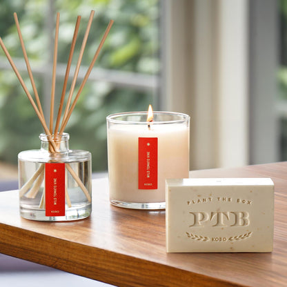 Alternate Image of Wild Tomato Vine Plant the Box Trio, bar soap diffuser and candle with red label