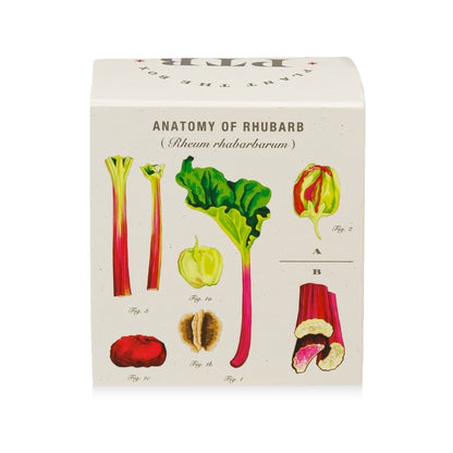 Alternate Image of Backyard Rhubarb Plant the Box 9 oz Candle