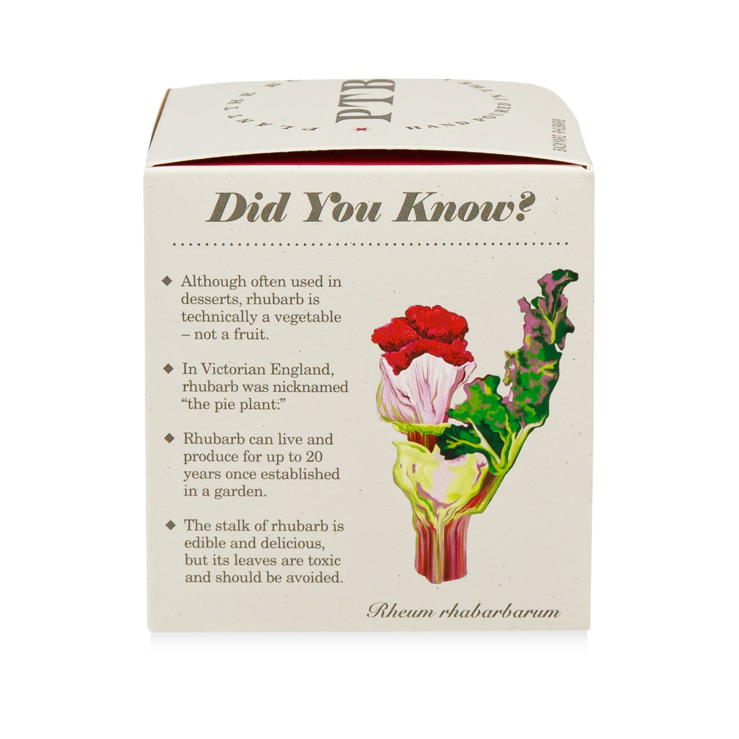 Alternate Image of Backyard Rhubarb Plant the Box 9 oz Candle