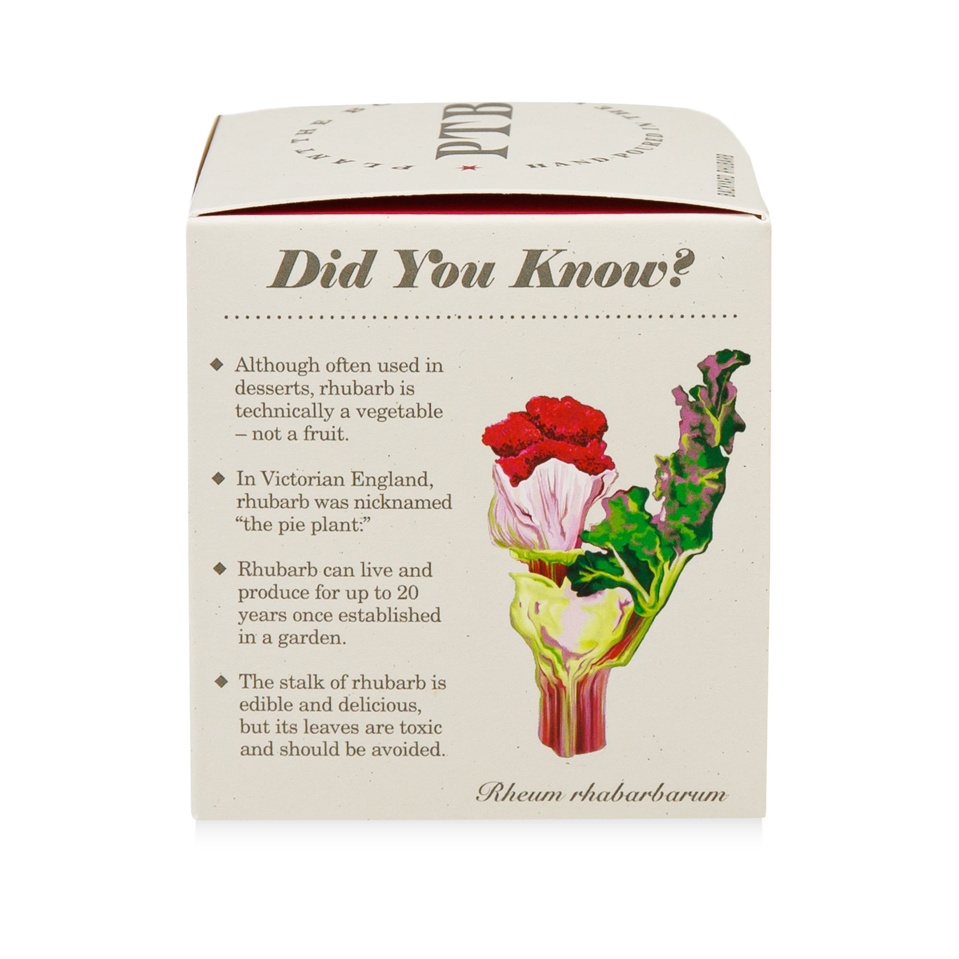 Alternate Image of Backyard Rhubarb Plant the Box 9 oz Candle