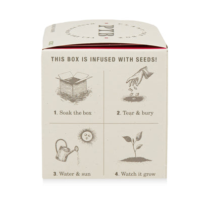 Alternate Image of Backyard Rhubarb Plant the Box 9 oz Candle