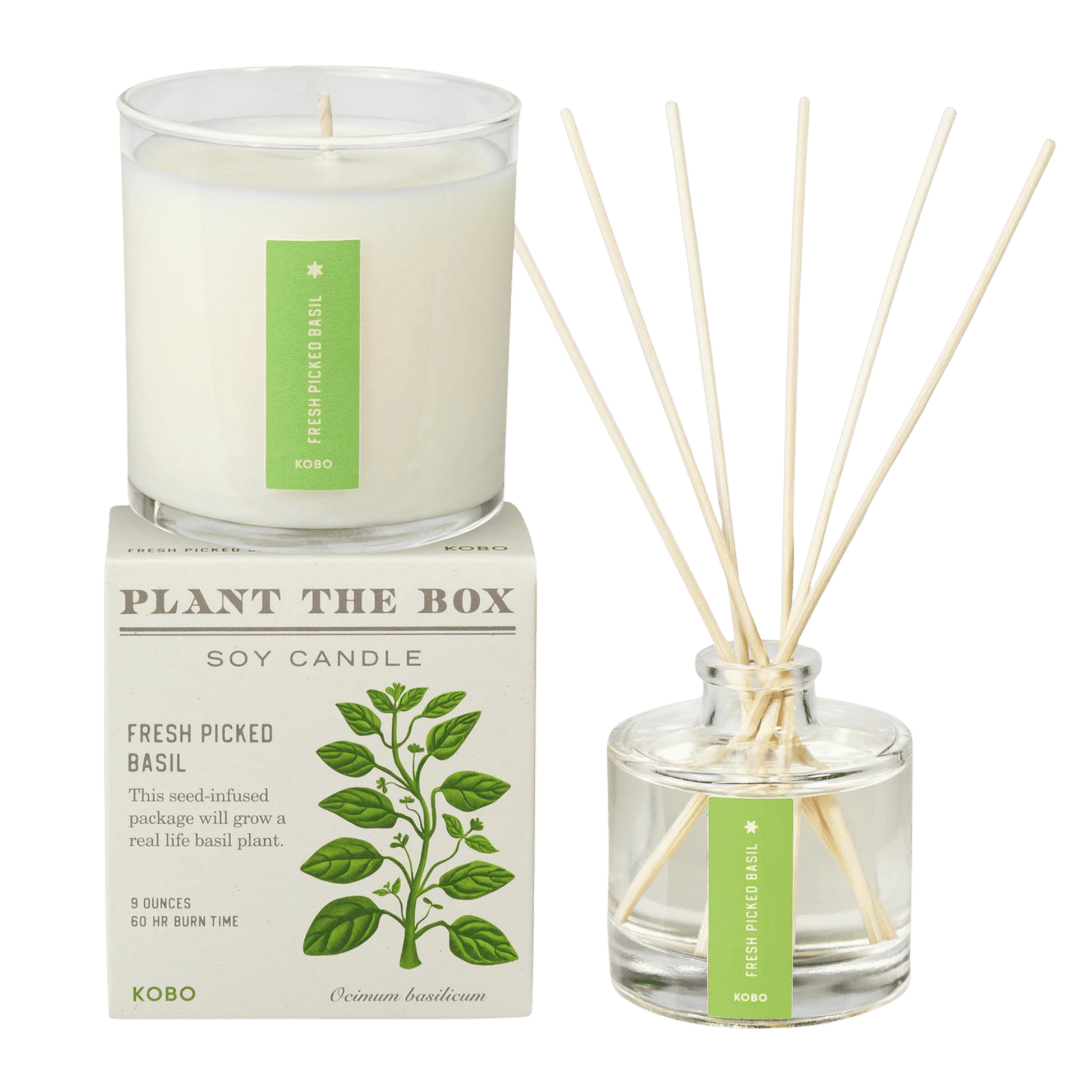 Primary image of Fresh Picked Basil Plant the Box Duo