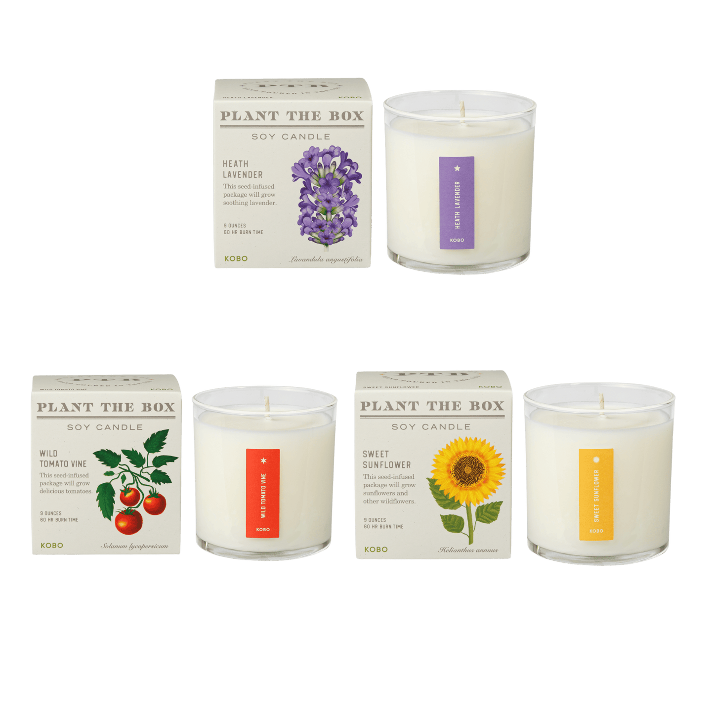 Front view of the Bestselling Botanicals Plant the Box Candle Trio with three boxed soy candles and matching jars