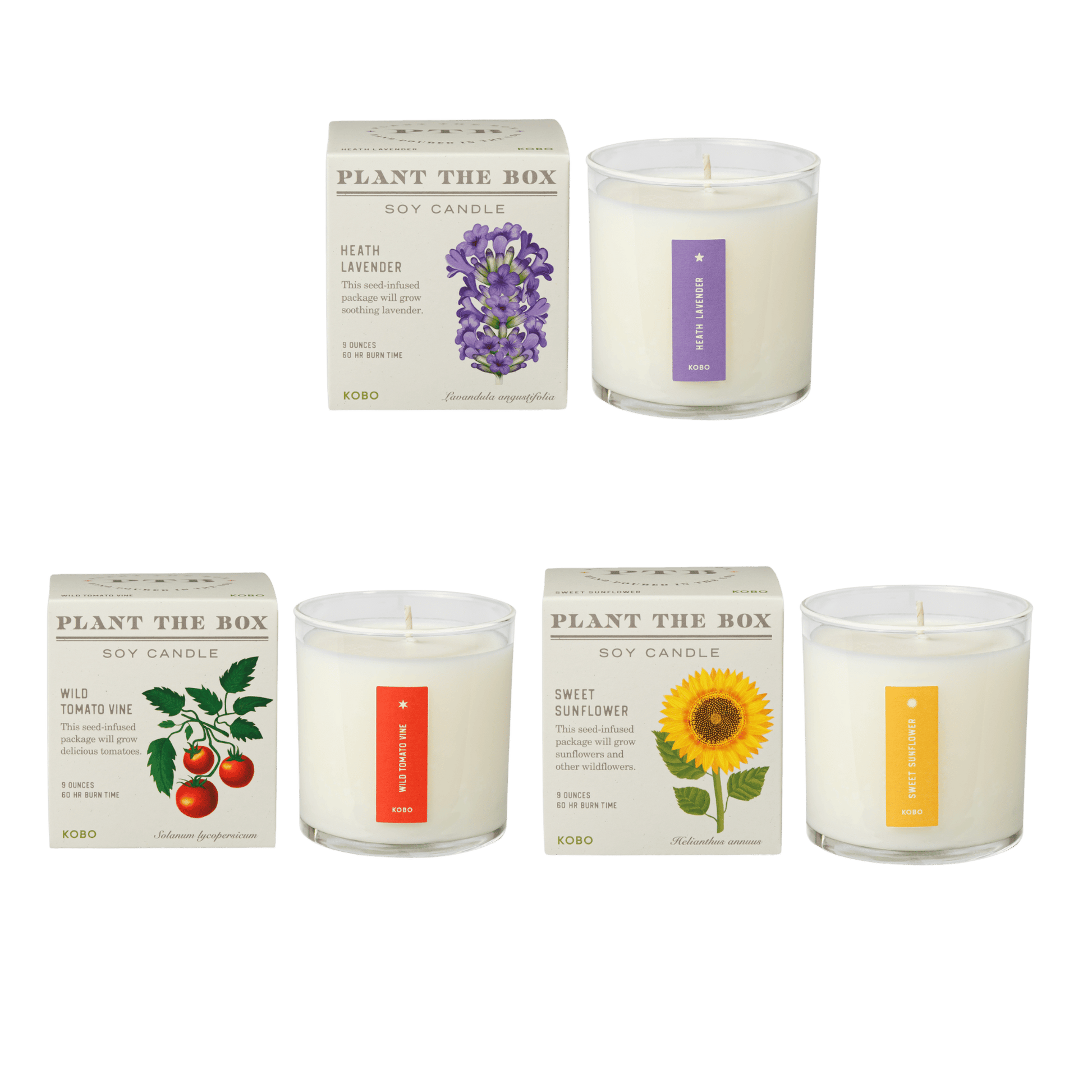 Front view of the Bestselling Botanicals Plant the Box Candle Trio with three boxed soy candles and matching jars