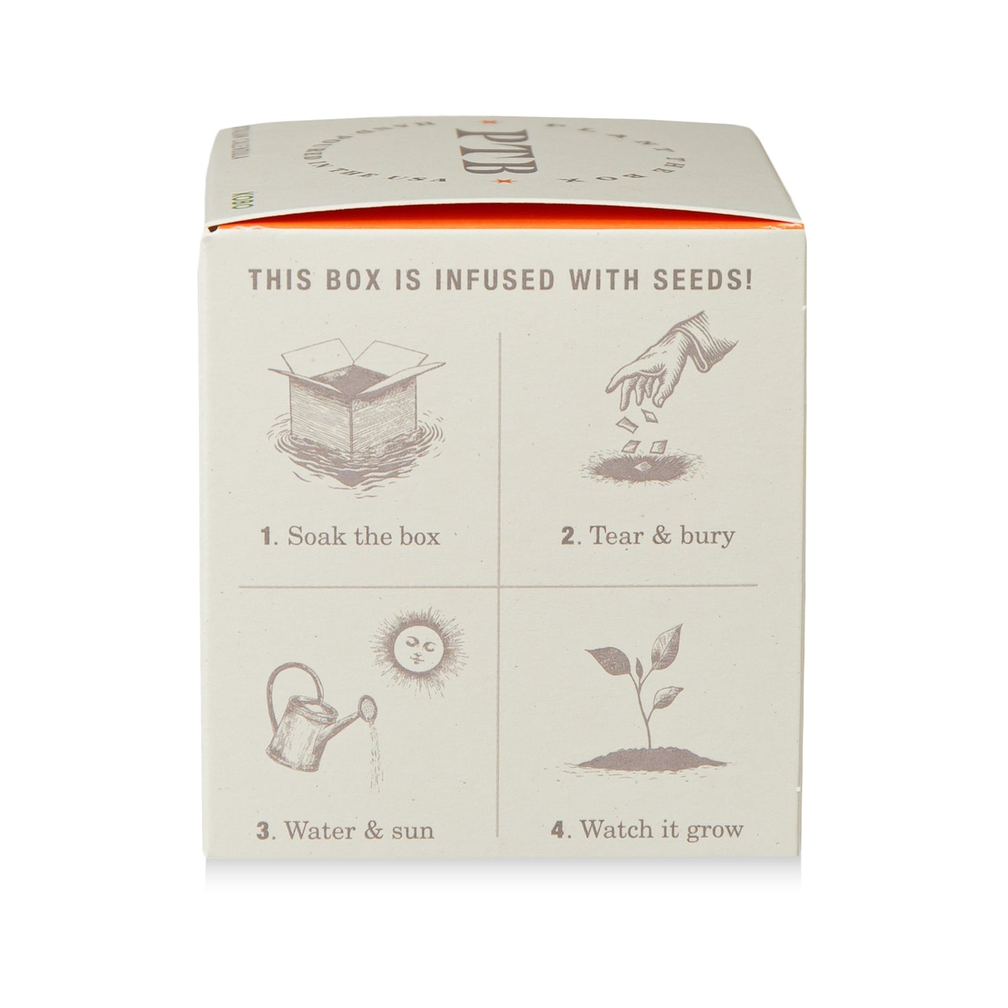 Alternate Image of Catalan Calendula Candle