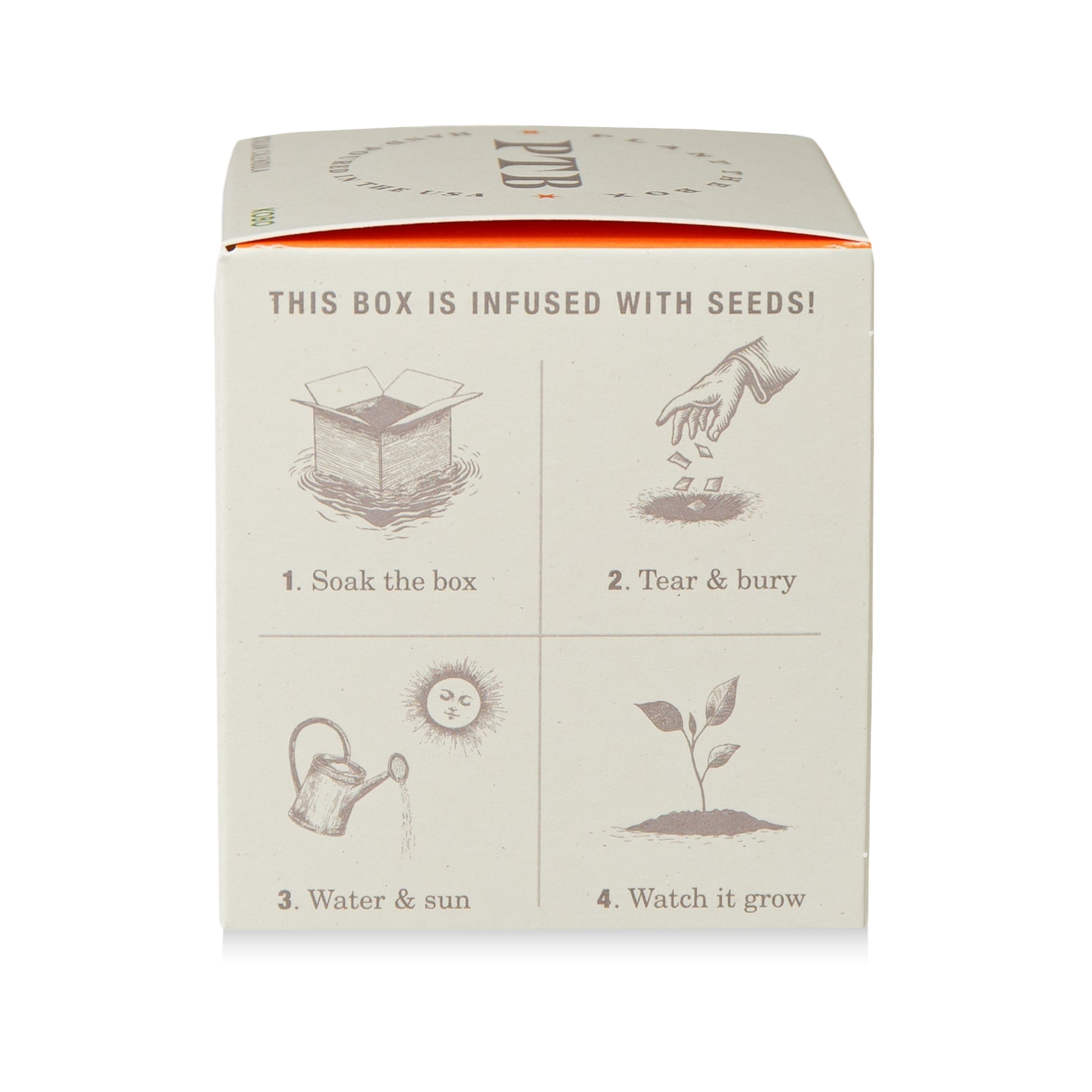 Alternate Image of Catalan Calendula Candle