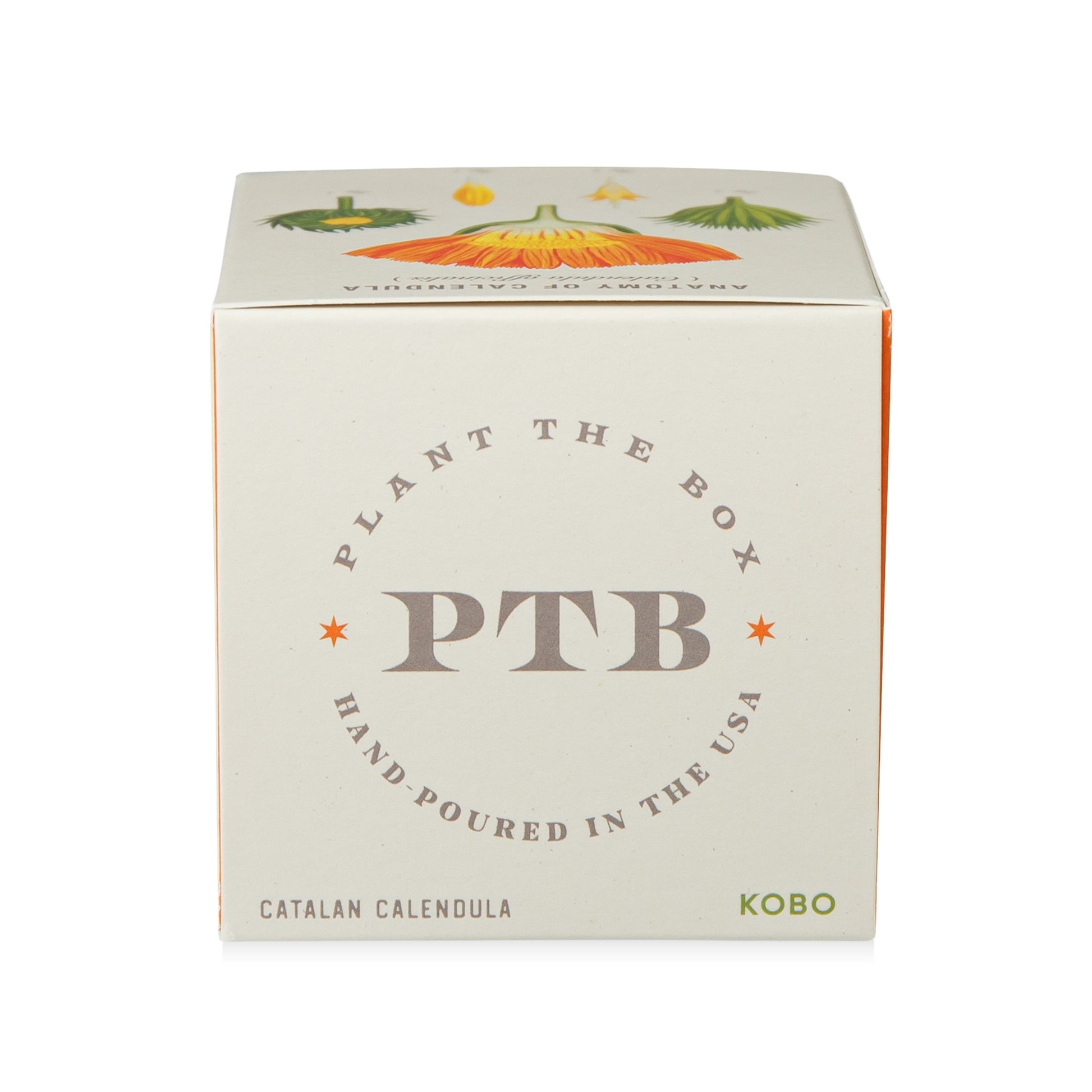 Alternate Image of Catalan Calendula Candle