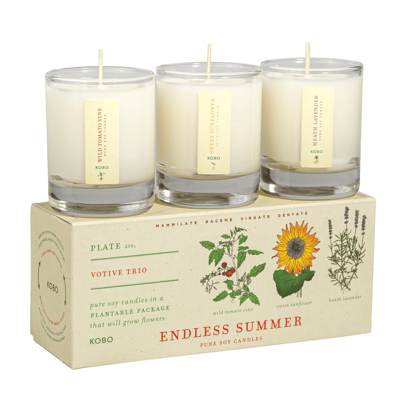 Primary image of Endless Summer Plant the Box Votive Candle Trio