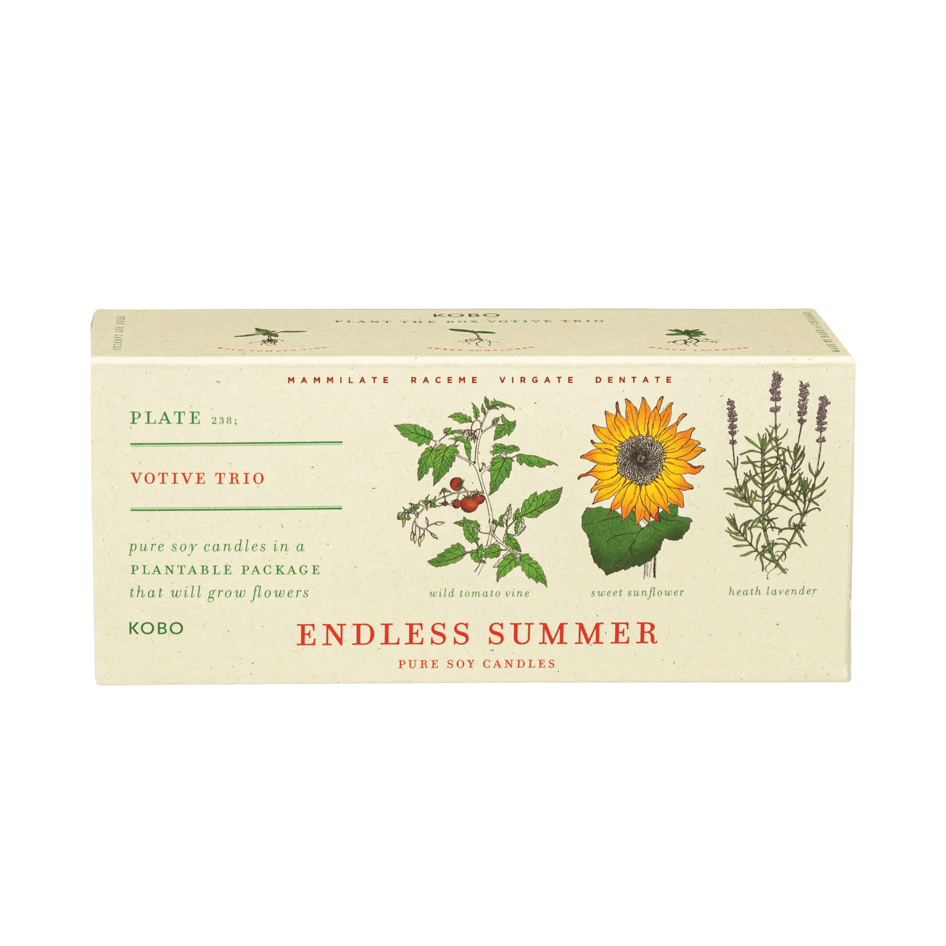 Front view of the Endless Summer votive trio showcasing three pure soy candles in plantable packaging with a transparent background