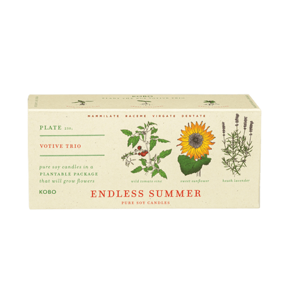 Front view of the Endless Summer votive trio showcasing three pure soy candles in plantable packaging with a transparent background