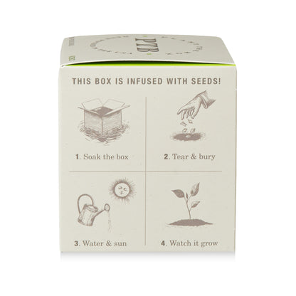Alternate Image of Fresh Picked Basil Candle
