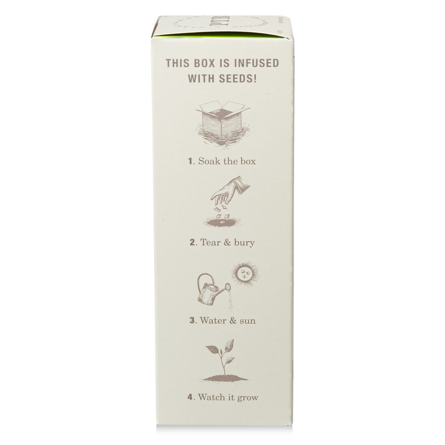 Alternate Image of Fresh Picked Basil Plant the Box 4 oz Diffuser