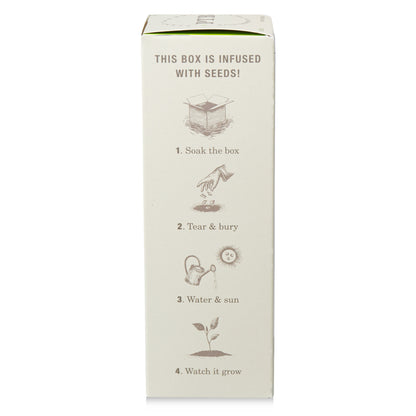 Alternate Image of Fresh Picked Basil Plant the Box 4 oz Diffuser