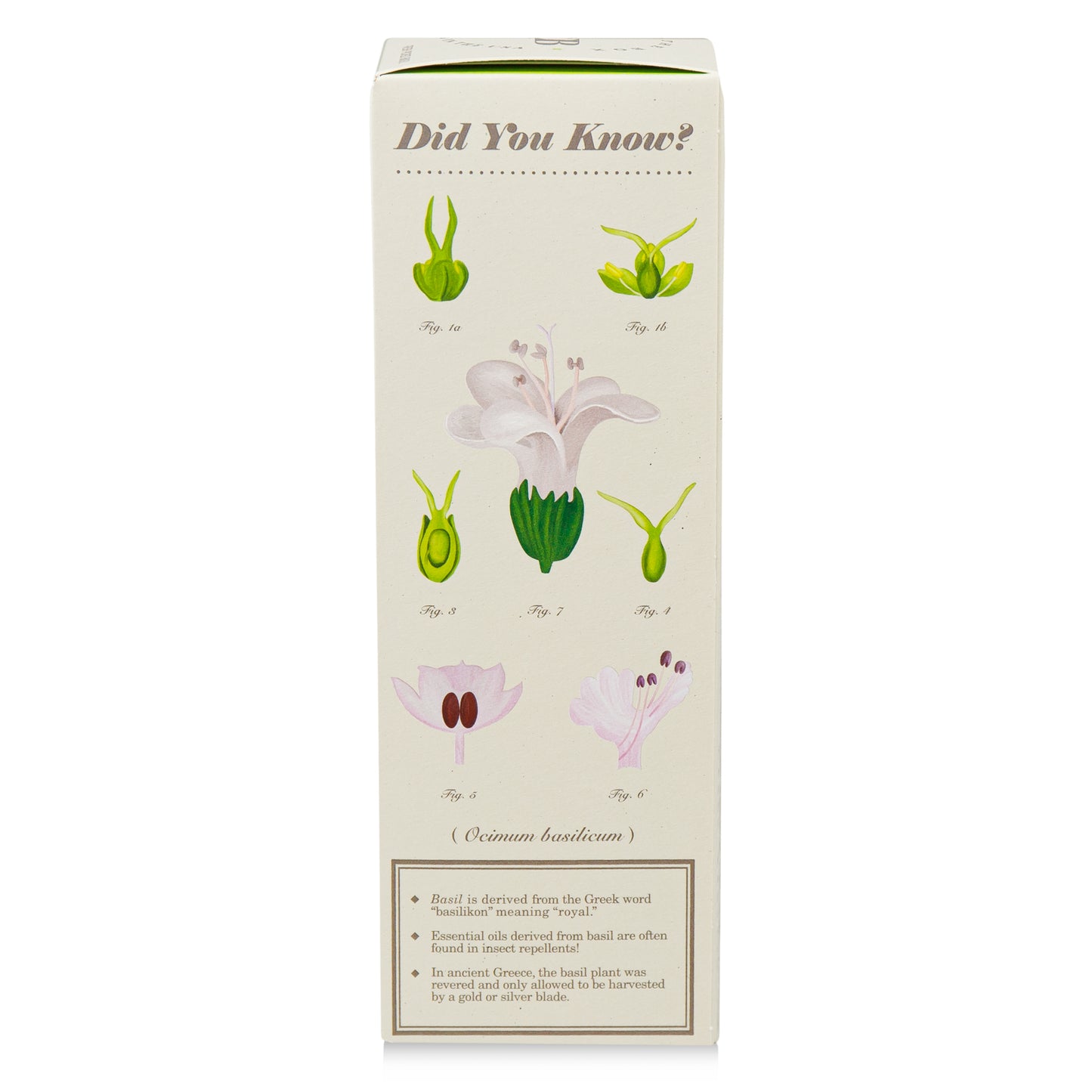 Alternate Image of Fresh Picked Basil Plant the Box 4 oz Diffuser