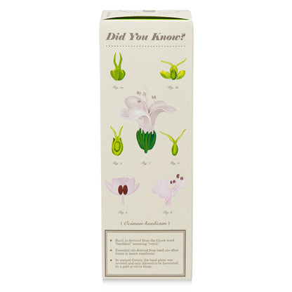 Alternate Image of Fresh Picked Basil Plant the Box 4 oz Diffuser