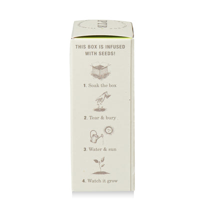 Alternate Image of Fresh Picked Basil Plant the Box 7 oz Bar Soap