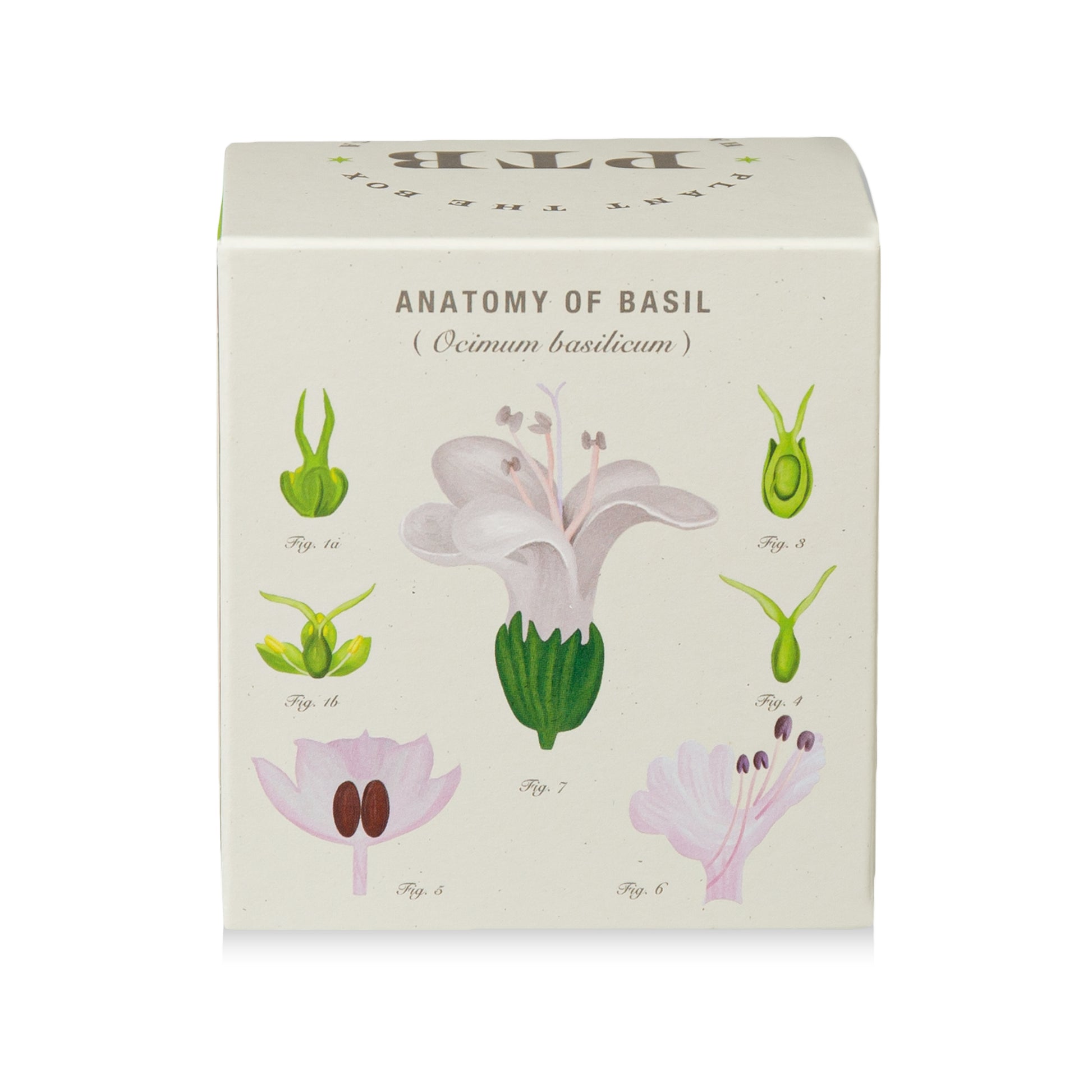 Alternate Image of Fresh Picked Basil Candle