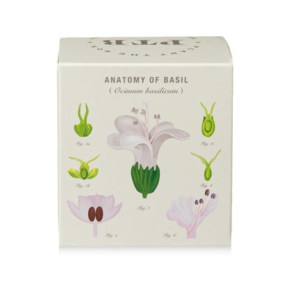 Alternate Image of Fresh Picked Basil Candle