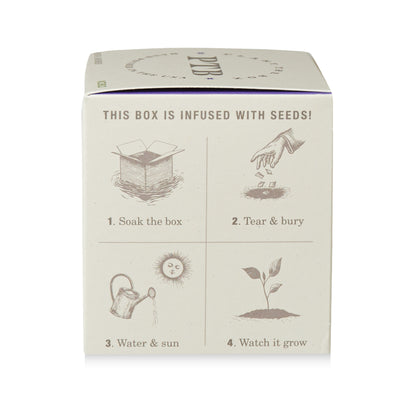 Alternate Image of Heath Lavender Candle
