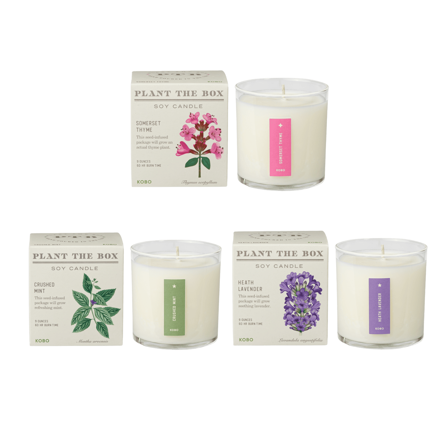 Primary image of Kitchen Herb Plant the Box Candle Trio
