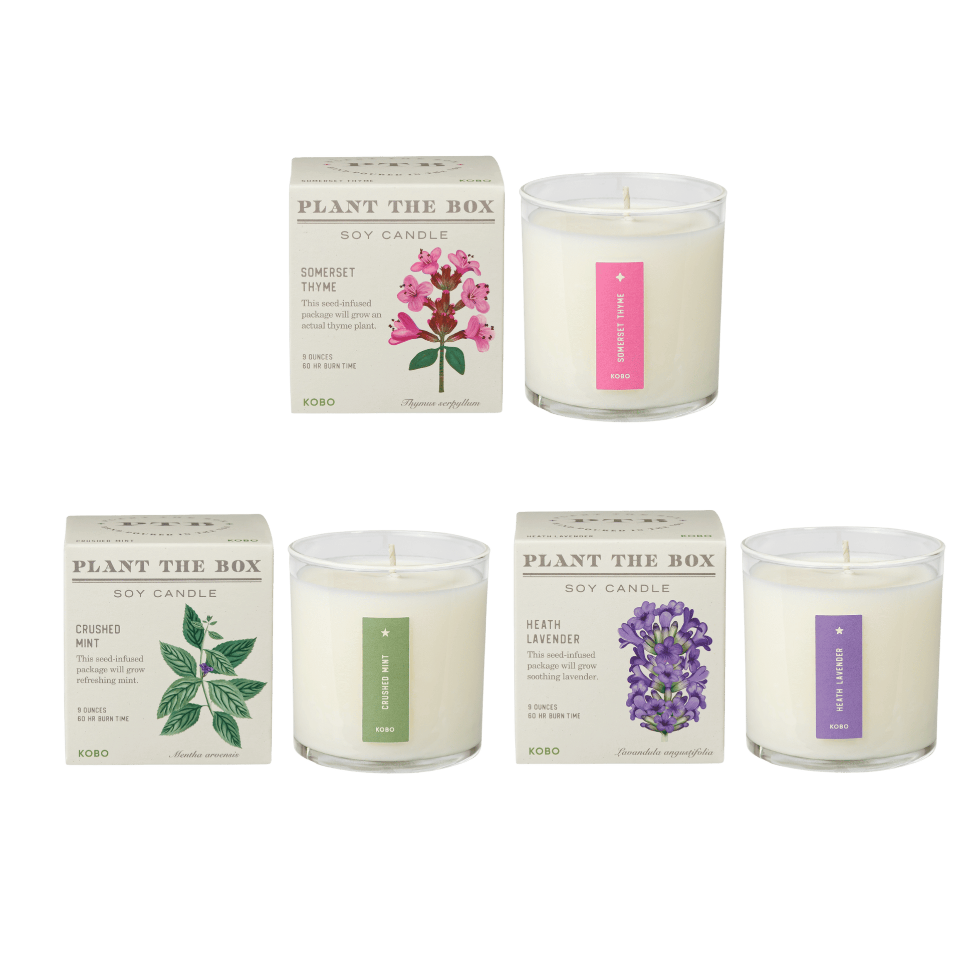 Primary image of Kitchen Herb Plant the Box Candle Trio