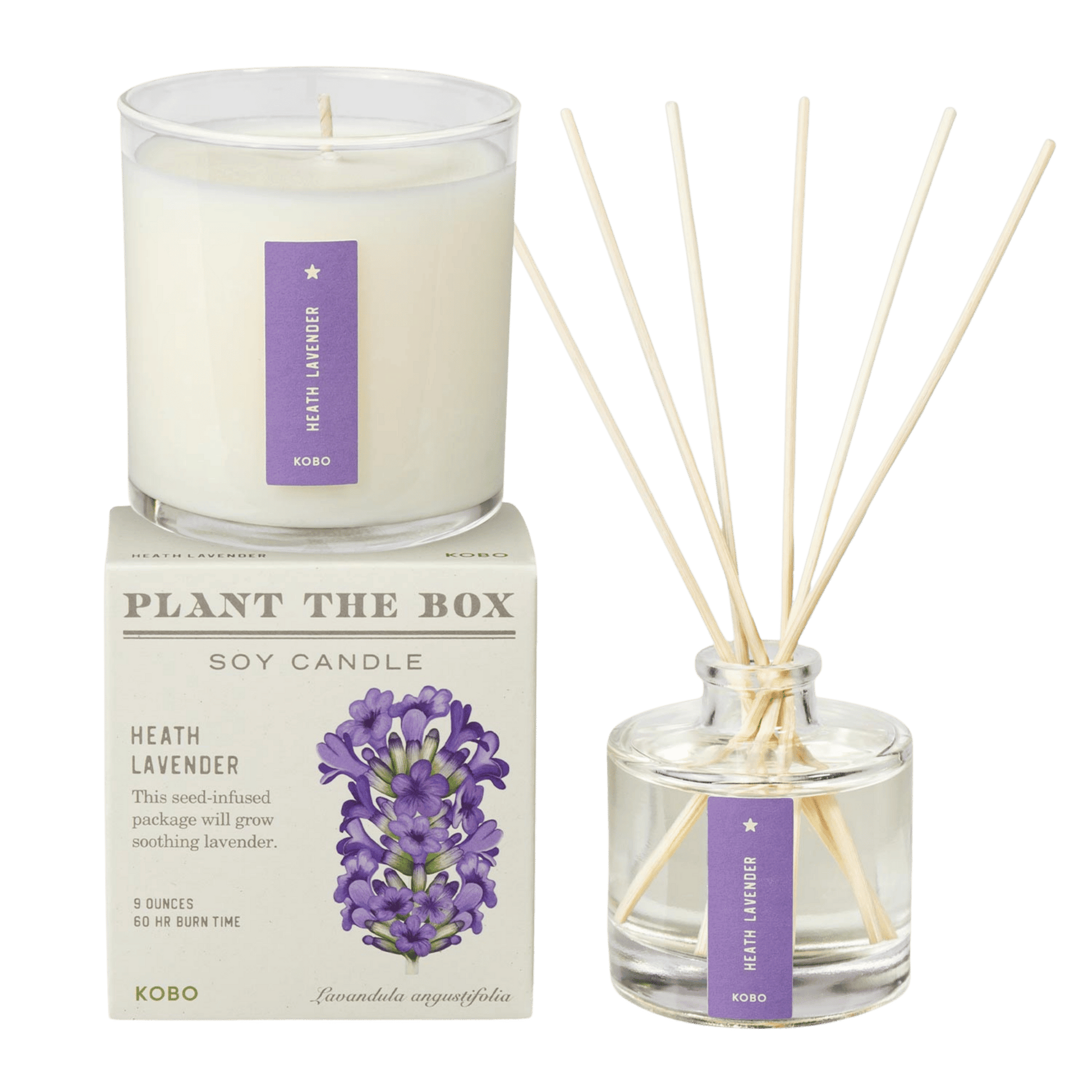 Primary image of Heath Lavender Plant the Box Duo
