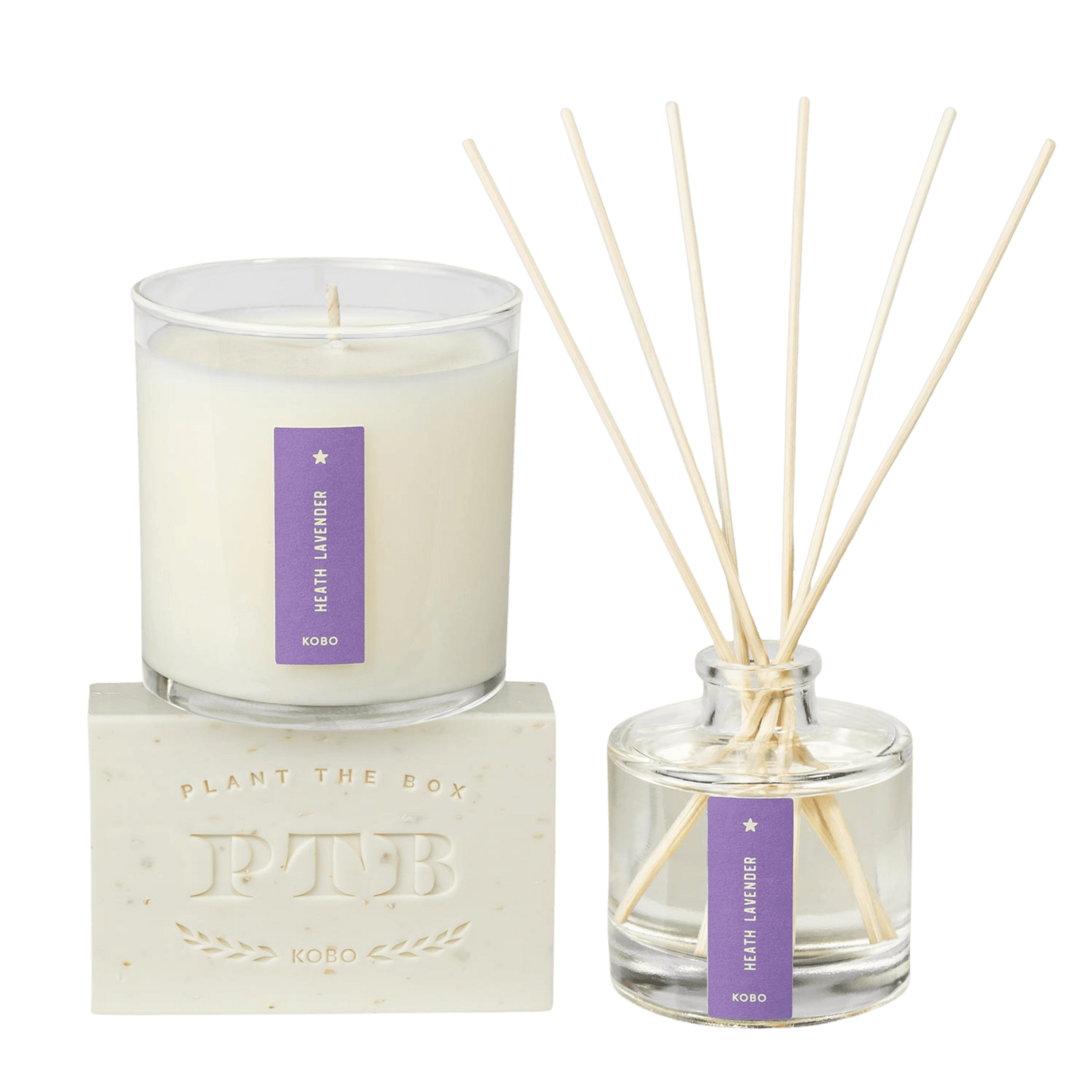 Primary image of Heath Lavender Plant the Box Trio