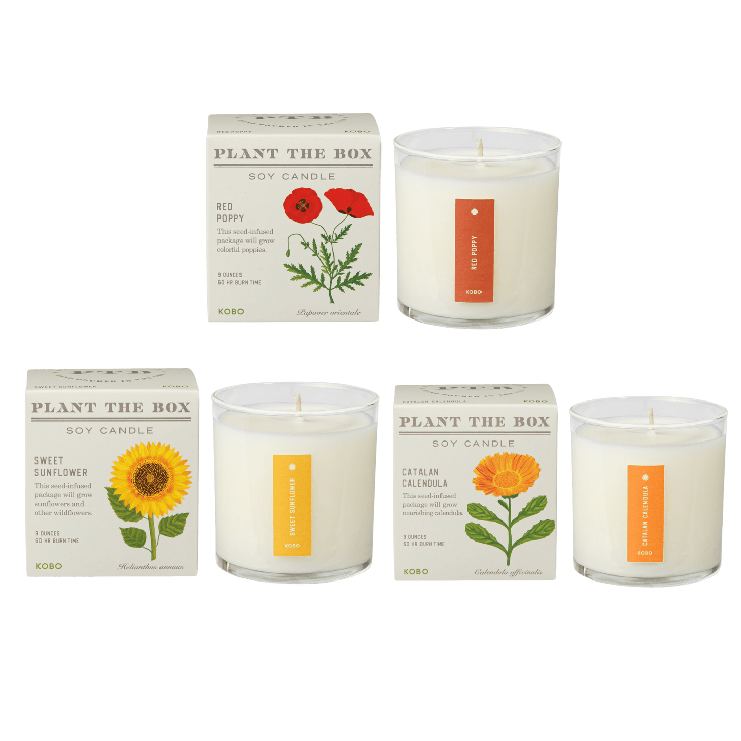 Primary image of Lush Floral Plant the Box Candle Trio