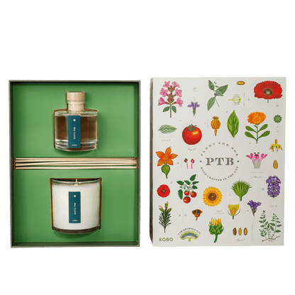 Primary image of Rustic Pine Plant The Box Candle & Diffuser Gift Set