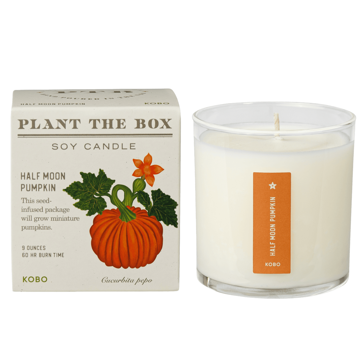 Primary image of Half Moon Pumpkin Plant The Box Candle