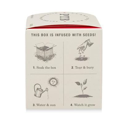 Alternate Image of Ripe Watermelon Plant the Box 9 oz Candle