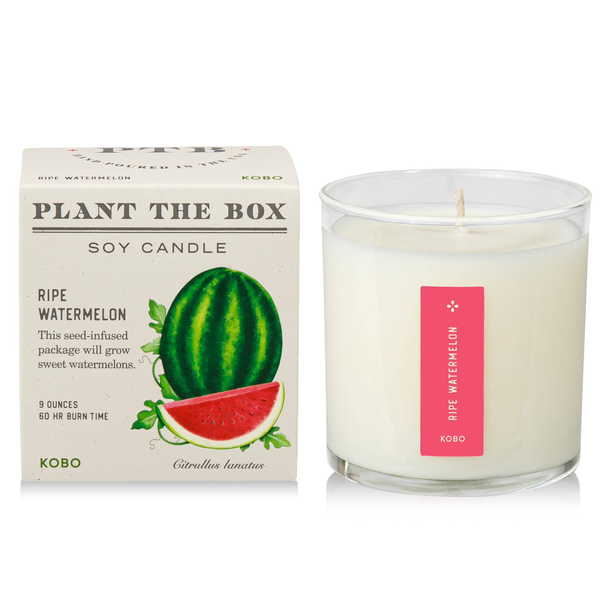 Alternate Image of Ripe Watermelon Plant the Box 9 oz Candle