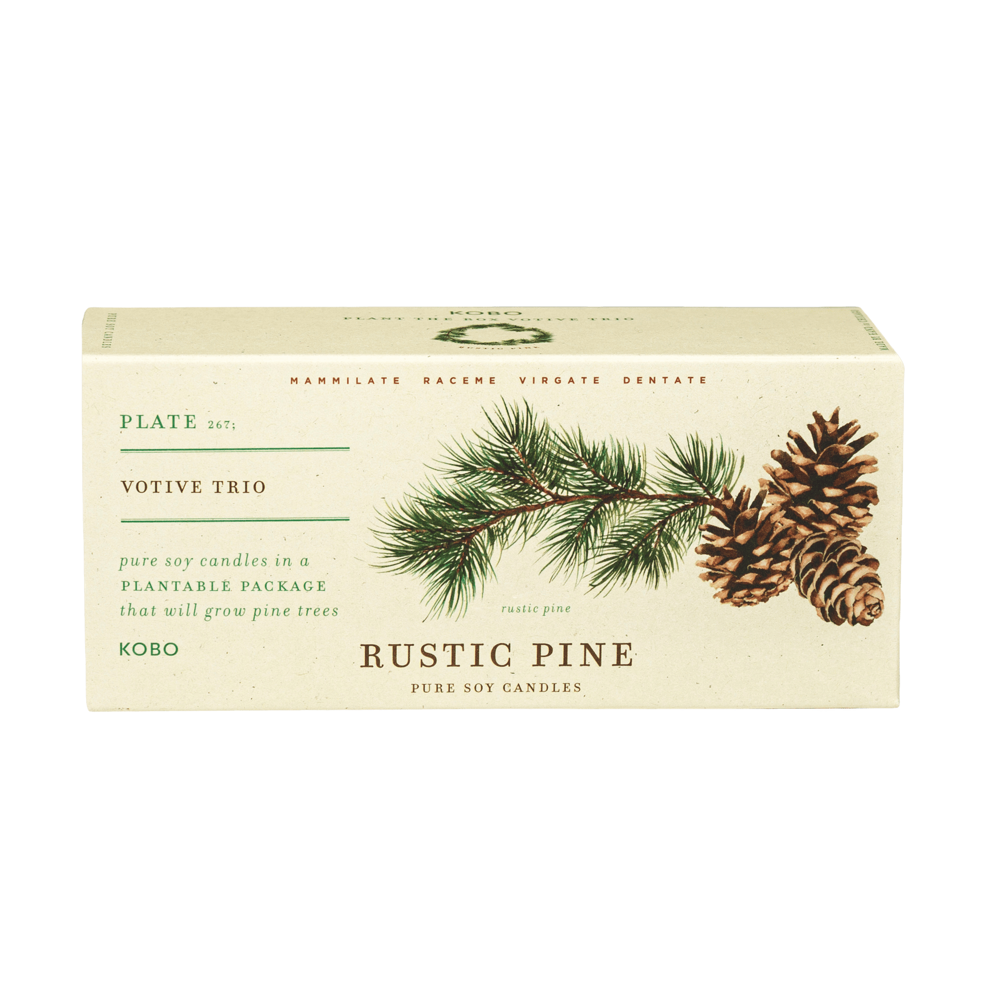 Front view of Rustic Pine Plant the Box Votive Candle Trio box with pine branch and pine cone artwork on transparent background