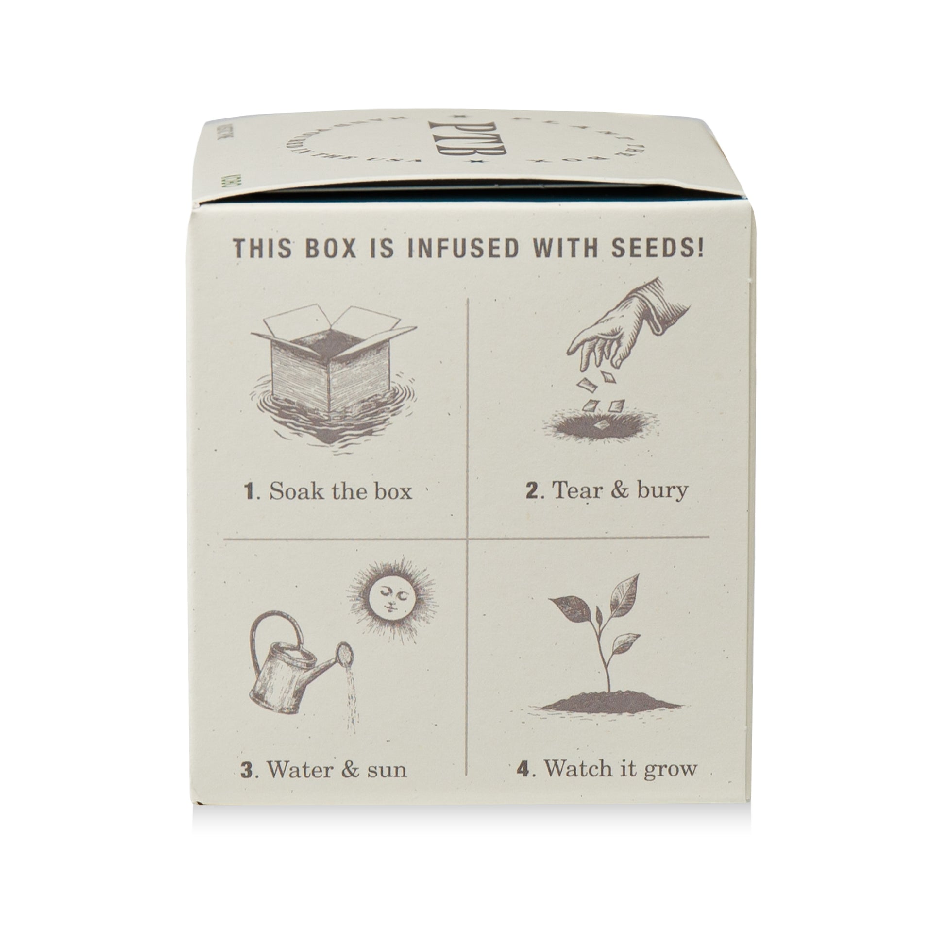Alternate Image of Rustic Pine Plant The Box Candle