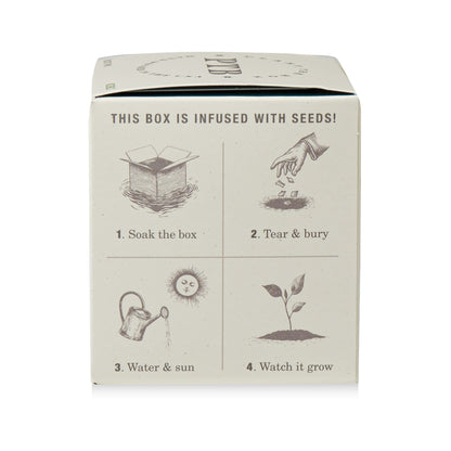 Alternate Image of Rustic Pine Plant The Box Candle