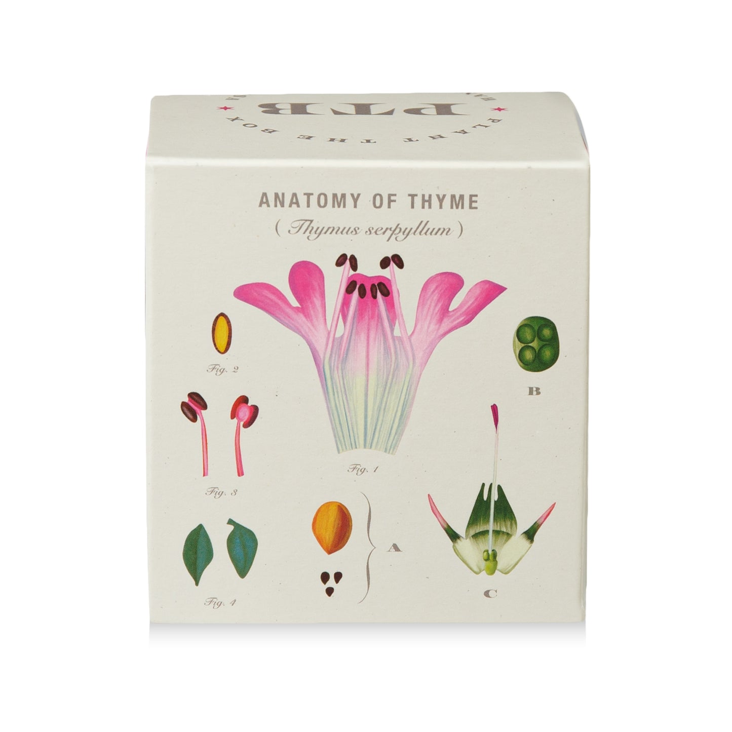 Alternate Image of Somerset Thyme Candle