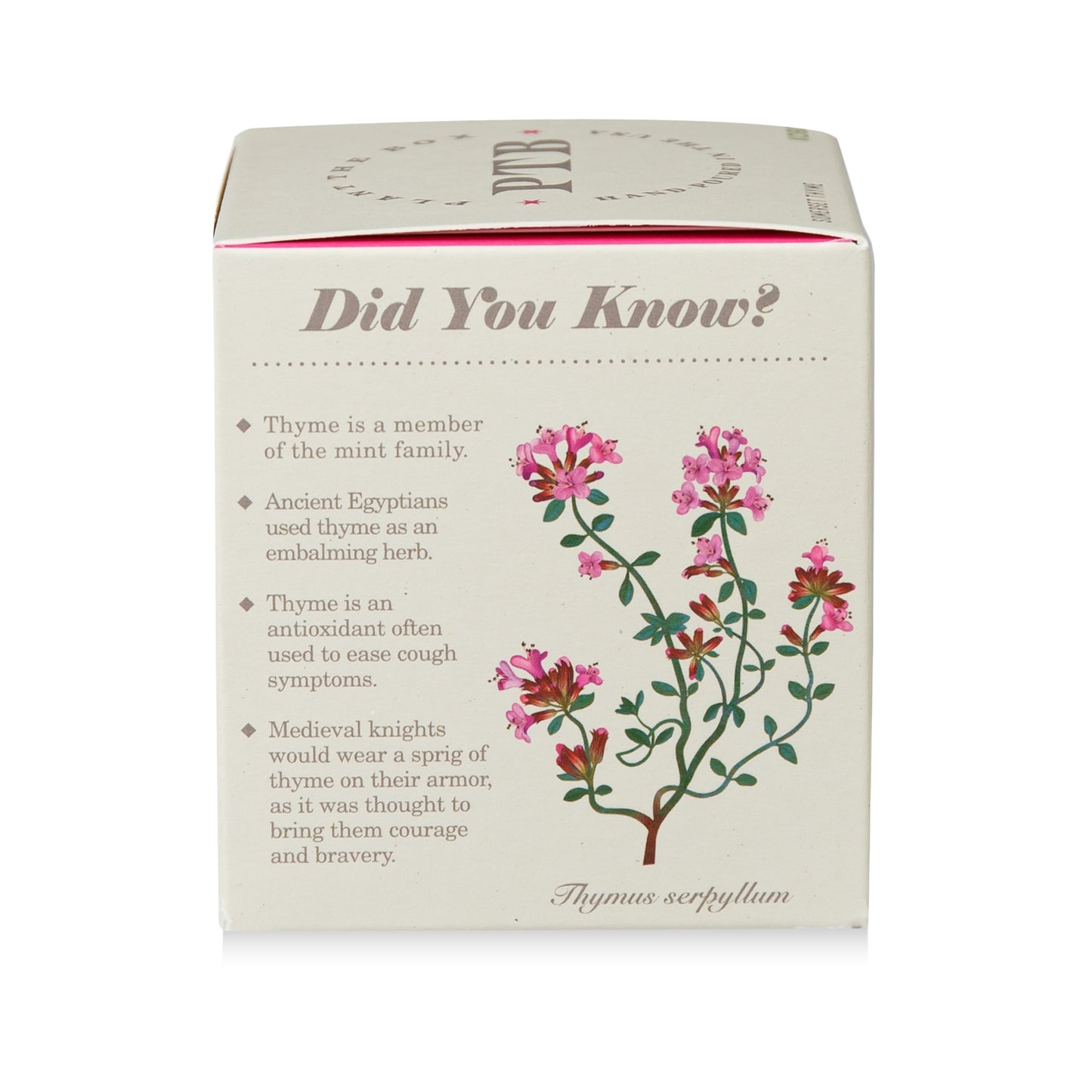 Alternate Image of Somerset Thyme Candle