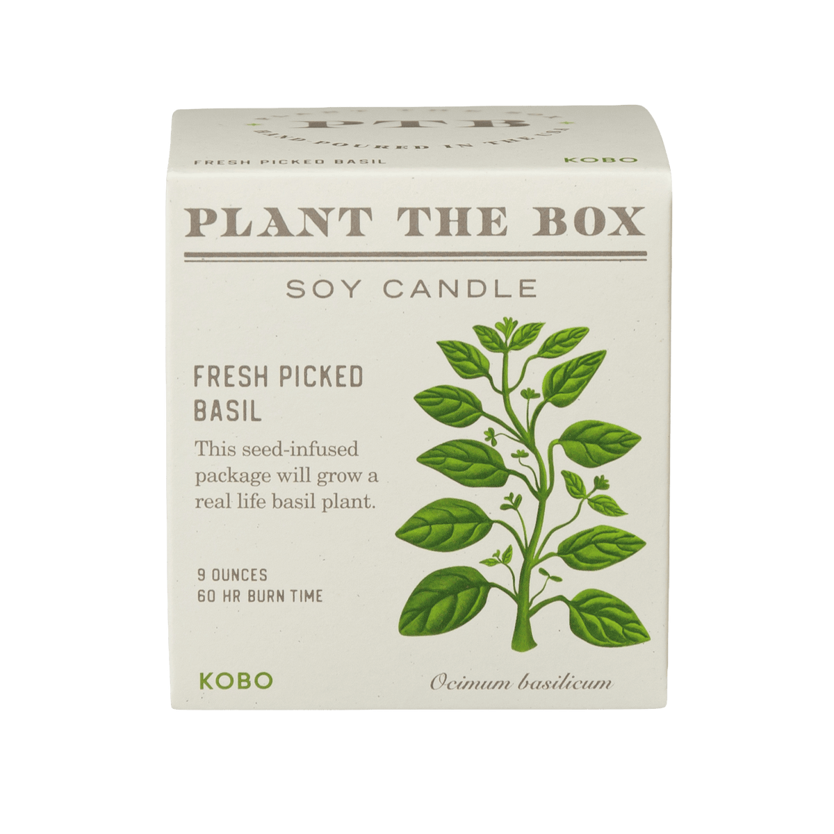 Front view of Plant The Box Fresh Picked Basil soy candle showcasing basil plant packaging with a transparent background
