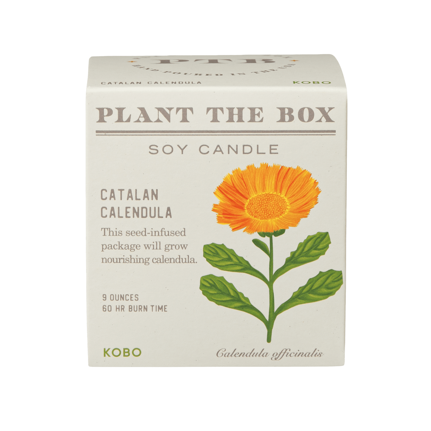 Primary image of Catalan Calendula Plant The Box Candle